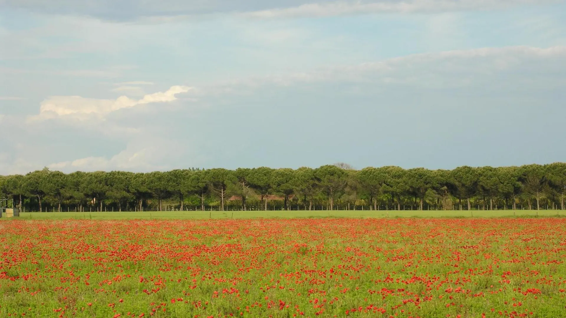 Bosco Dell'Impero Daire Bibione